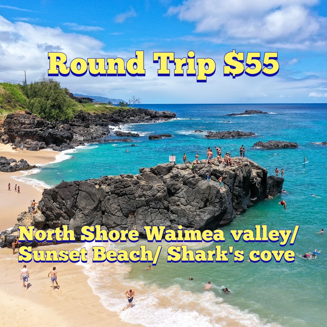 $55 North Shore Shuttle | Waimea Valley | Shark’s Cove | Banzai Pipeline | Sunset Beach post thumbnail image