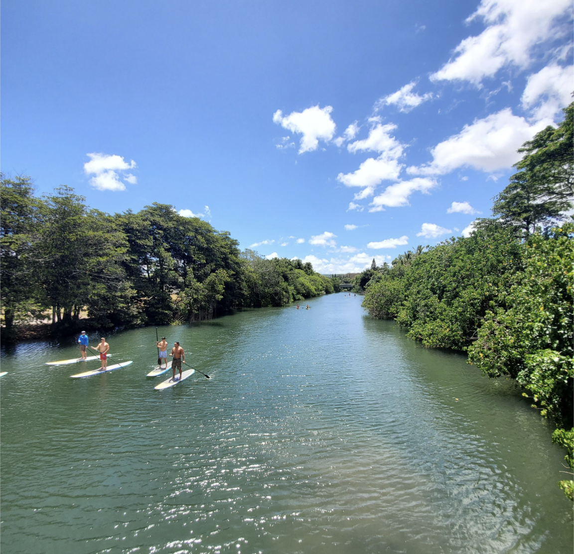 Exploring Haleiwa’s North Shore: Kayak and SUP Rentals with Blue Planet Adventure Company on Oahu post thumbnail image