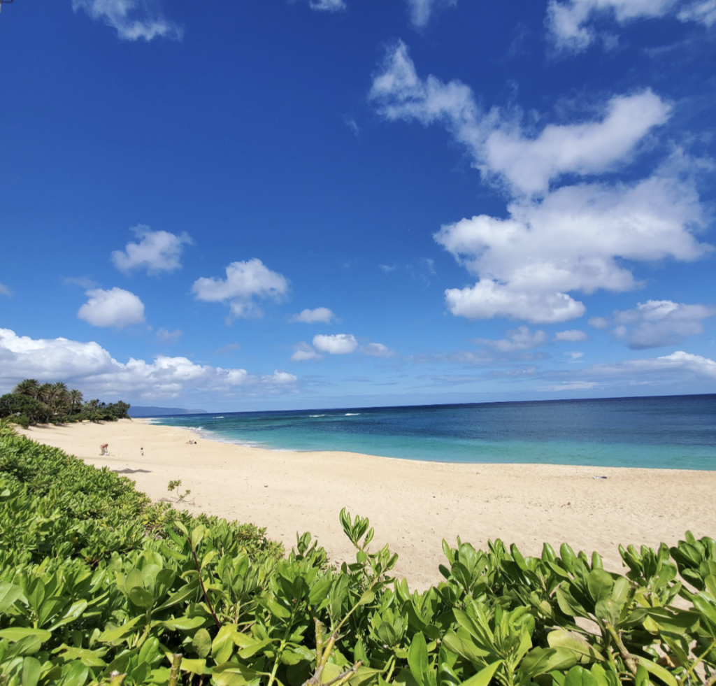 North Shore Private Tour