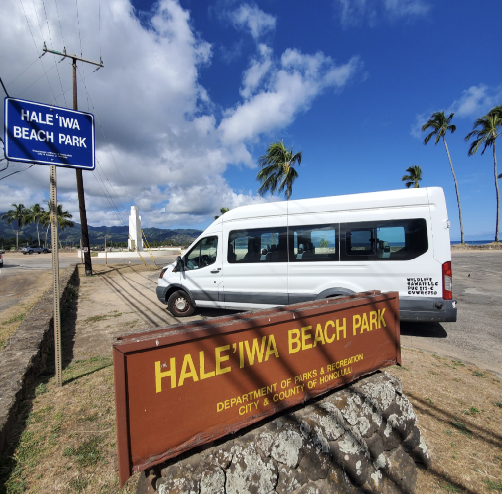 from waikiki to haleiwa, North shore Shuttle