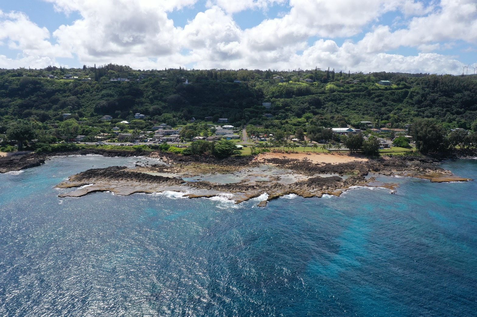 Exploring Shark’s Cove on the North Shore: Important Updates and Tips for Your Visit post thumbnail image