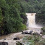 Waimea falls