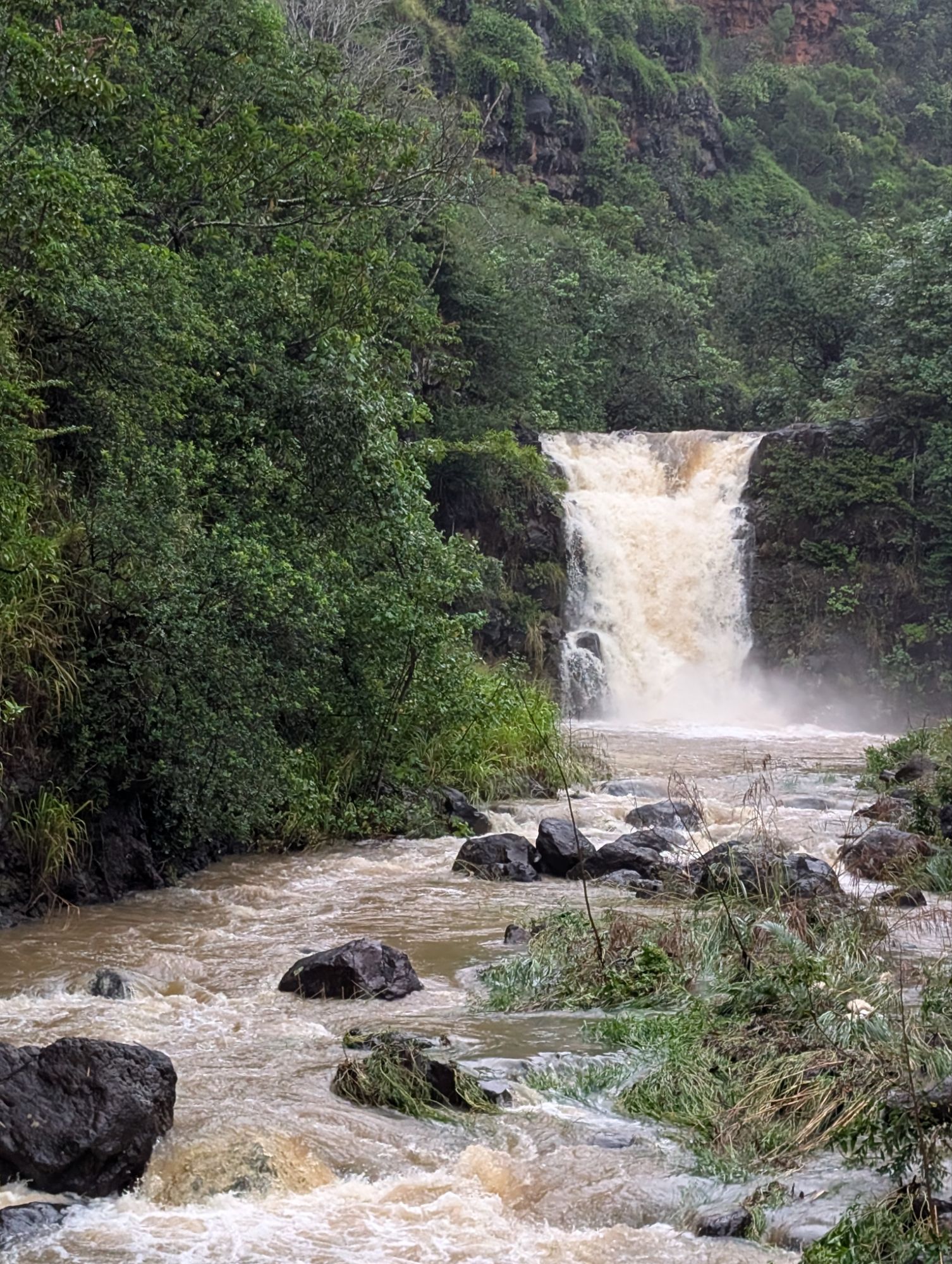 Waimea falls