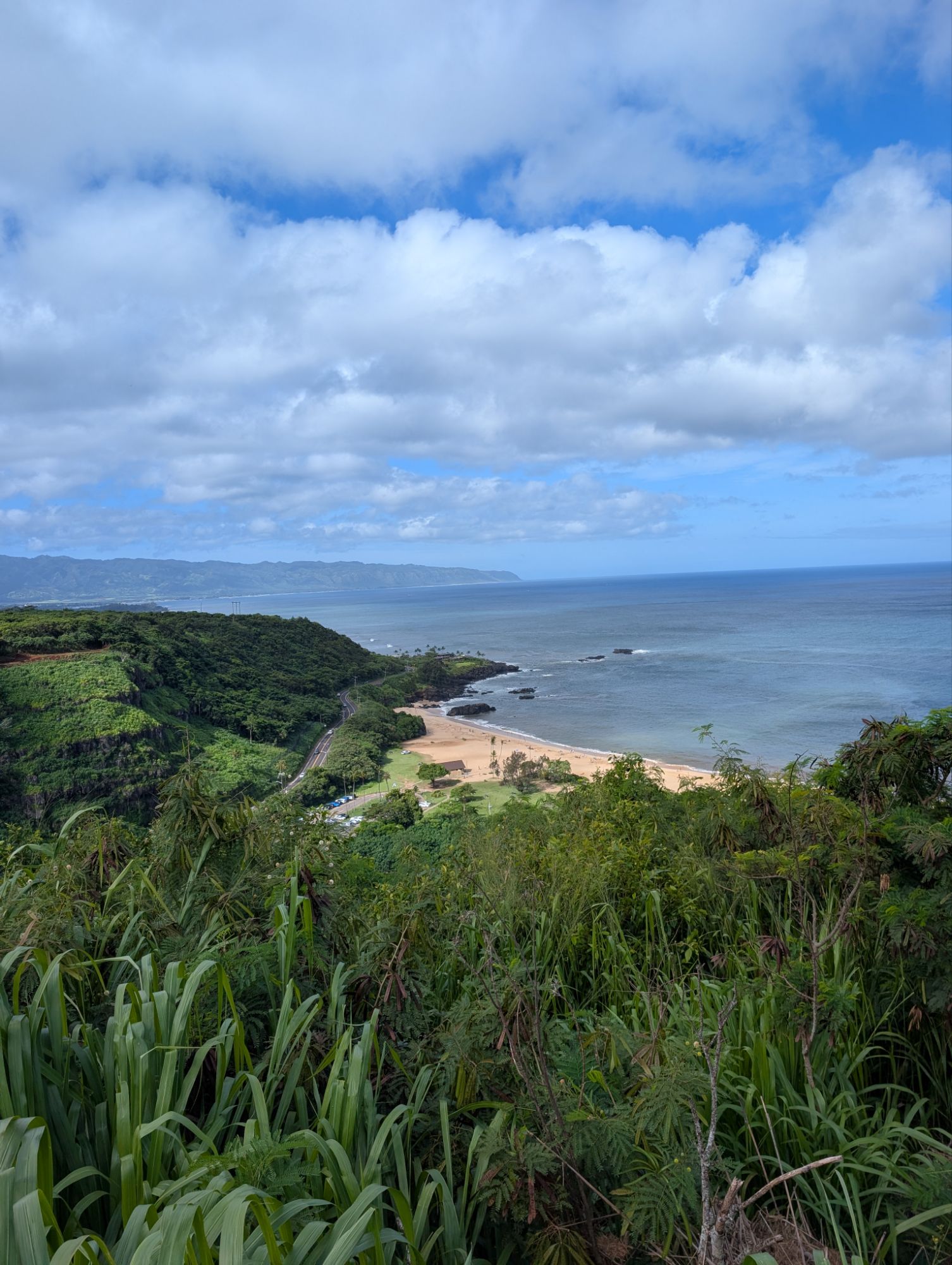 North Shore Deep Adventure Shuttle: Waimea, Sunset Beach, Shark’s Cove post thumbnail image