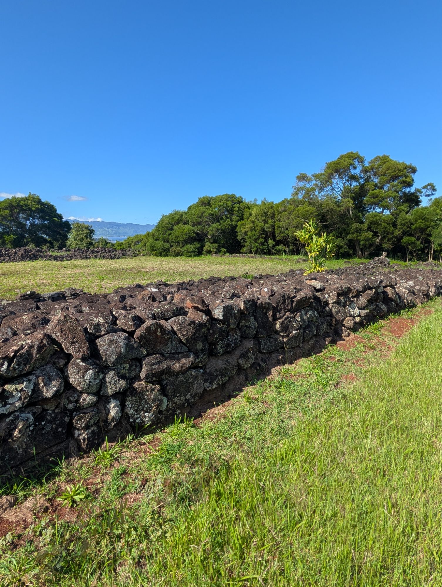 Discovering Puʻu o Mahuka Heiau: The Secrets of North Shore’s Sacred Stones post thumbnail image